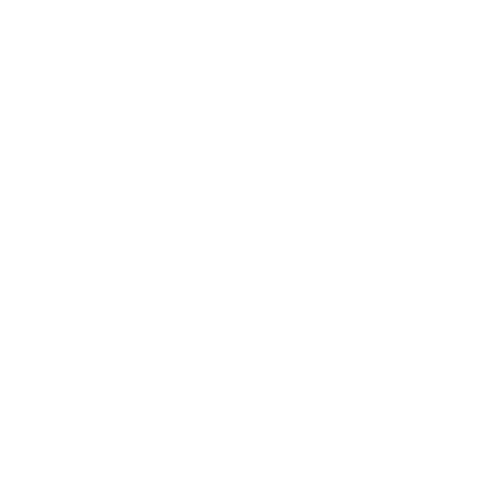 Double Trouble Studio